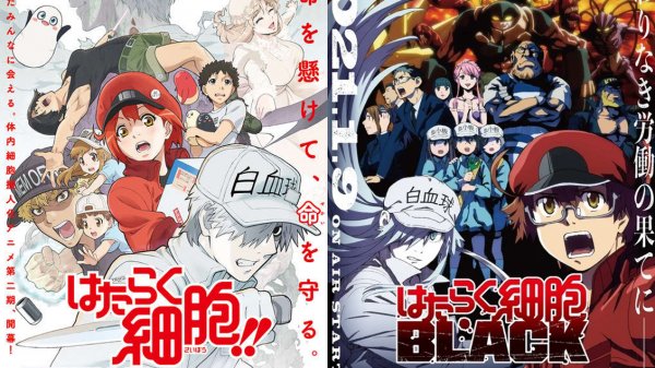 "Cells at Work!!" y su spin-off "Code Black" se estrenan el mismo día en enero