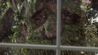 La serie "El Señor de los Anillos: Los Anillos de Poder" muestra a sus "Ents"