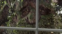 La serie "El Señor de los Anillos: Los Anillos de Poder" muestra a sus "Ents"