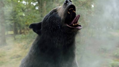 El Oso Intoxicado desata el caos en HBO Max
