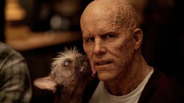 Wade Wilson y Dogpool anticipan que todo va bien para Deadpool 3