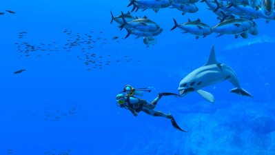 [Reseña] Endless Ocean Luminous: Grata aventura bajo el mar