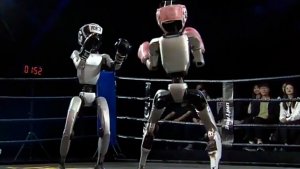 China acaba de realizar el primer torneo del mundo de boxeo de robots humanoides