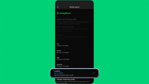 Spotify lanza audio sin pérdidas para usuarios Premium